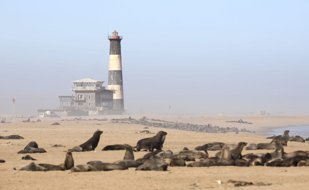 Lighthouse of Walvis Bay on the beach, with seal colony in front