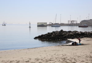 Private Day Tour starts at the waterfront at Walvis Bay