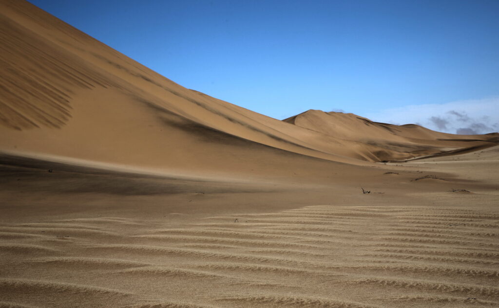 Spectacular Dune Belt – week 37 of 2020