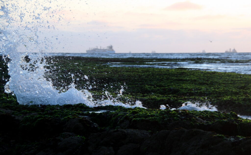 Waves beating up on seaweed and rocks, with a tanker in the background.