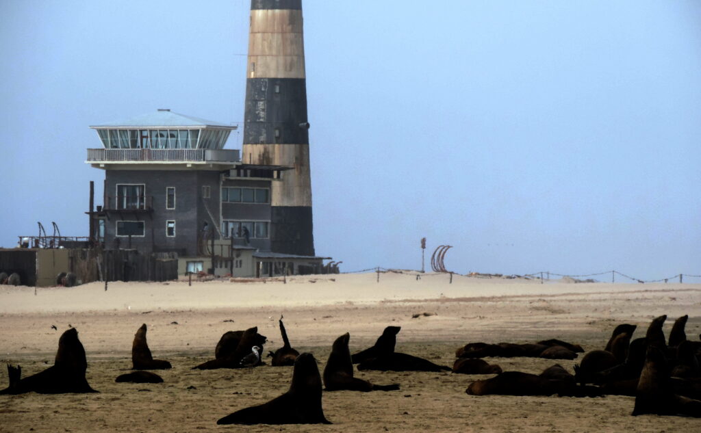 The lighthouse at Pelican Point, with the seal colony in the foreground