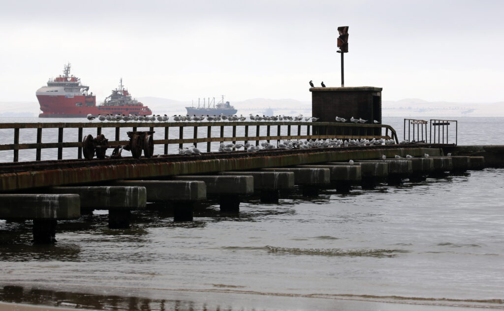 Birds sitting on the supply jetty to the Lighthouse, Pelican Point