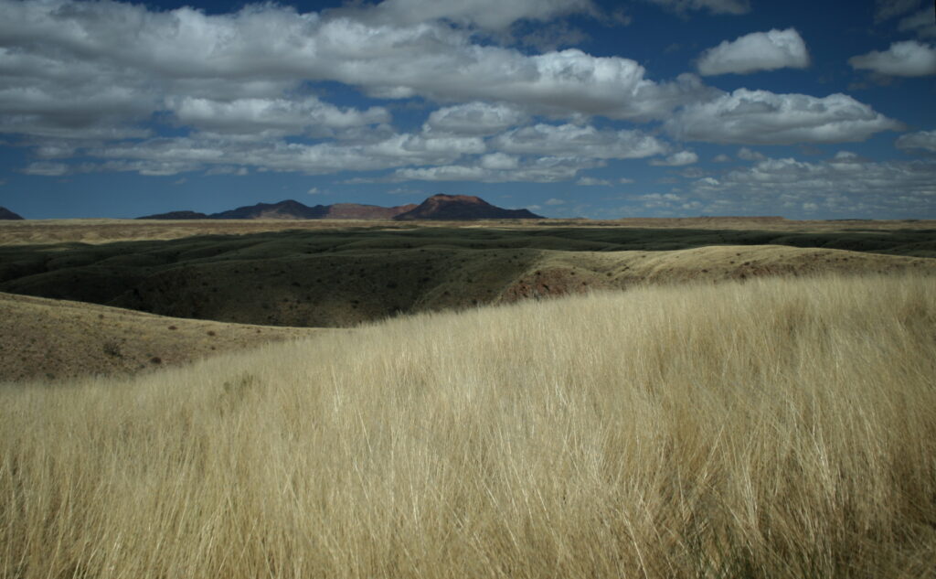 Beautiful grassy fields in Hauchab