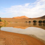 Rains in stunning Namibia – 2nd blog of 2021