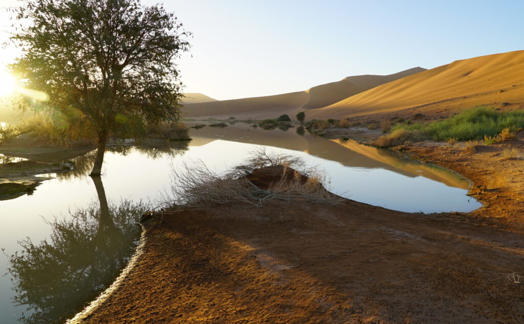 Reflections at Ostrich vlei early in the morning.