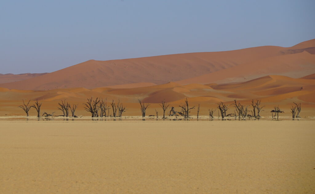 Mirage at the Deadvlei, Sossusvlei